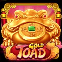 worldmatch image